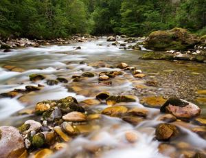 Rivière