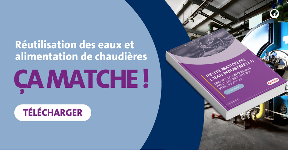 Livre blanc reuse europe veolia