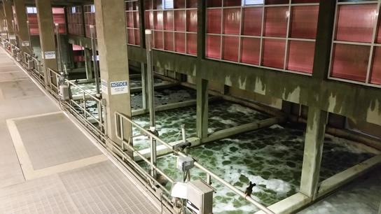 CS Municipal Wastewater picture