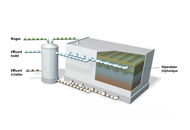 Schéma de fonctionnement du Biothane UASB