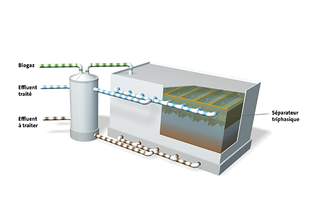 Schéma de fonctionnement du Biothane UASB