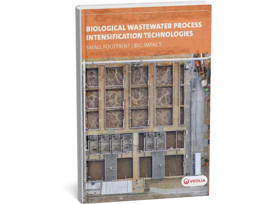 Intensification biologique WP preview